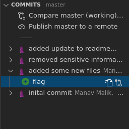 Commit History